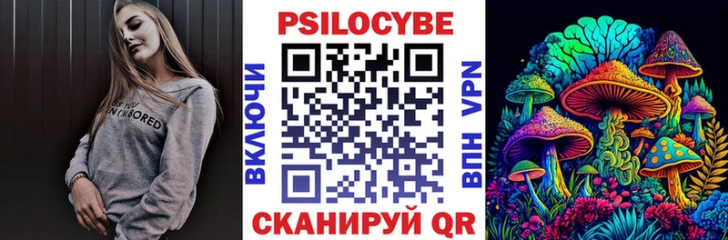 МЕГА как зайти  Великий Новгород  Псилоцибиновые грибы GOLDEN TEACHER 