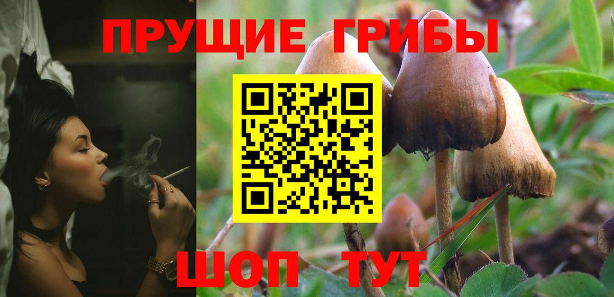 цены   Галлюциногенные грибы MAGIC MUSHROOMS  Вход с VPN  Великий Новгород 